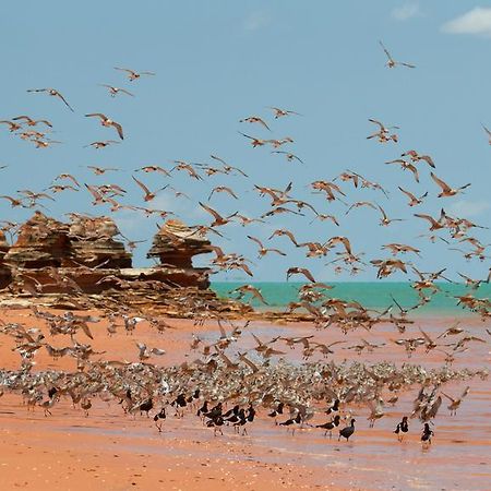 Broome Bird Observatory Экстерьер фото