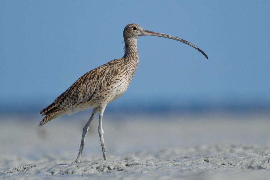 Broome Bird Observatory Экстерьер фото