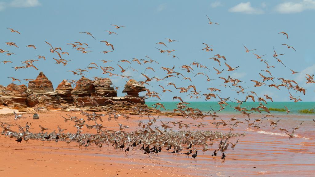 Broome Bird Observatory Экстерьер фото
